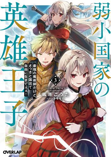 [ライトノベル]弱小国家の英雄王子～最強の魔術師だけど、さっさと国出て自由に生きてぇぇ!～ (全3冊)