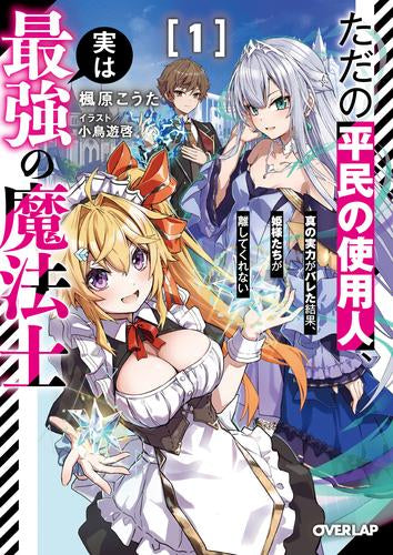[ライトノベル]ただの平民の使用人、実は最強の魔法士 ～真の実力がバレた結果、姫様たちが離してくれない～ (全1冊)