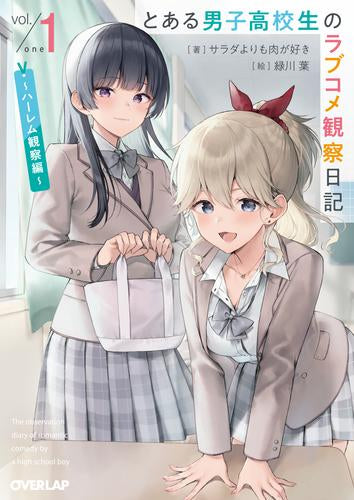 [ライトノベル]とある男子高校生のラブコメ観察日記～ハーレム観察編～ (全1冊)