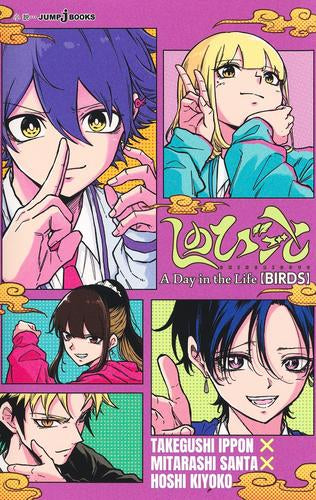 [ライトノベル]しのびごと A Day in the Life BIRDS (全1冊)