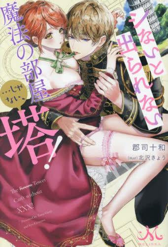 [ライトノベル]シなきゃ出られない魔法の部屋...じゃない、塔! (全1冊)