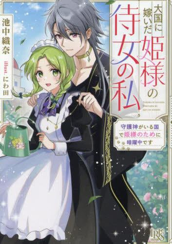 [ライトノベル]大国に嫁いだ姫様の侍女の私 守護神がいる国で姫様のために暗躍中です (全1冊)