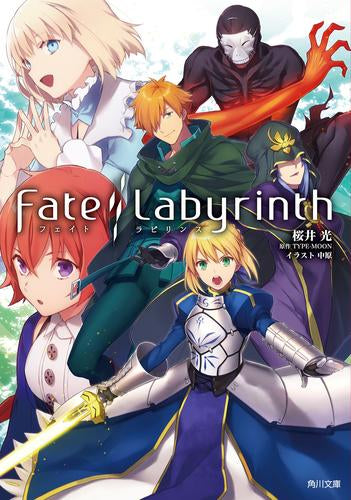 [ライトノベル]Fate/Labyrinth (全1冊)