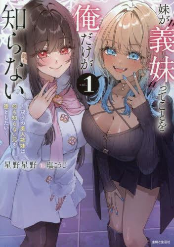 [ライトノベル]妹が義妹ってことを俺だけが知らない～双子の美人姉妹は何も知らない兄を堕としたい～ (全1冊)