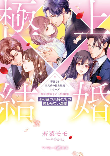 [ライトノベル]華麗なる三兄弟の極上結婚シリーズ 特別書き下ろし短編集～その後の夫婦たちの終わらない溺愛～ (全1冊)