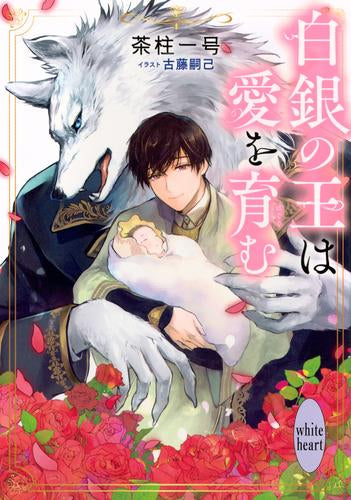 [ライトノベル]白銀の王と黒き御子 (全4冊)