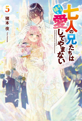 [ライトノベル]七人の兄たちは末っ子妹を愛してやまない (全5冊)