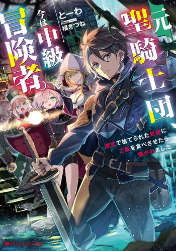 [ライトノベル]元聖騎士団、今は中級冒険者。 迷宮で捨てられた奴隷にご飯を食べさせたら懐かれました (全1冊)