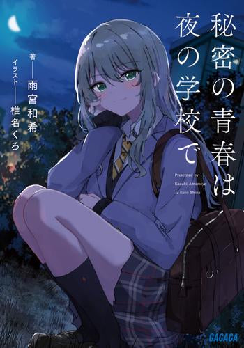 [ライトノベル]秘密の青春は夜の学校で (全1冊)