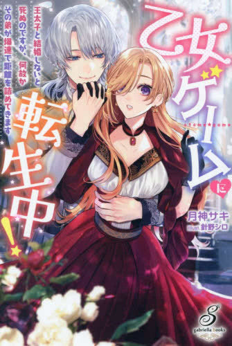 [ライトノベル]乙女ゲームに転生中! 王太子と結婚しないと死ぬのですが、何故かその弟が爆速で距離を詰めてきます (全1冊)