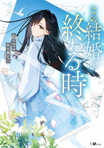 [ライトノベル]この結婚が終わる時 (全1冊)