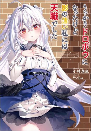 [ライトノベル]うっかりドロボウになったけど影の薄い私には天職でした (全1冊)