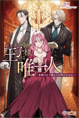 [ライトノベル]私の王子様は唯一人 ～本物の王子様などお呼びではない～ (全1冊)