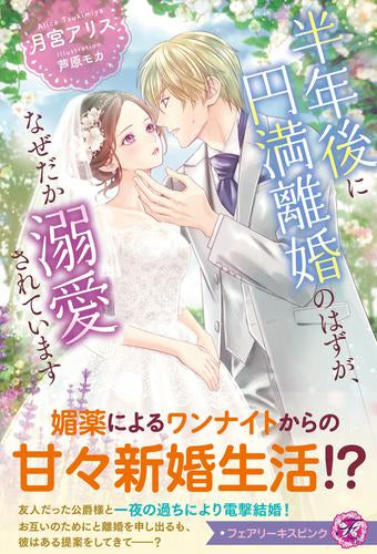 [ライトノベル]半年後に円満離婚のはずが、なぜだか溺愛されています (全1冊)