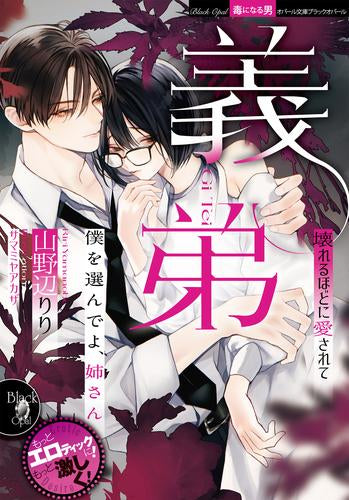 [ライトノベル]義弟 壊れるほどに愛されて (全1冊)