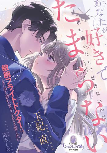 [ライトノベル]あなたが好きでたまらない 敏腕フライトドクターはまじめな彼女をどこまでも愛したい (全1冊)