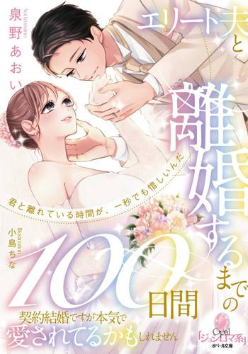 [ライトノベル]エリート夫と離婚するまでの100日間 契約結婚ですが本気で愛されてるかもしれません (全1冊)