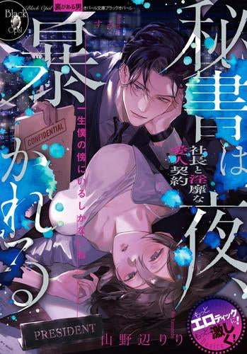 [ライトノベル]秘書は夜、暴かれる 社長と淫靡な愛人契約 (全1冊)