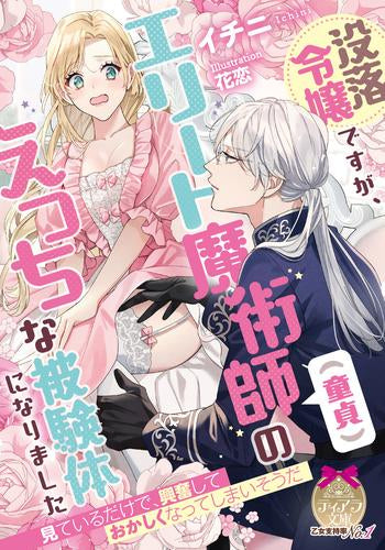 [ライトノベル]没落令嬢ですが、エリート魔術師(童貞)のえっちな被験体になりました (全1冊)