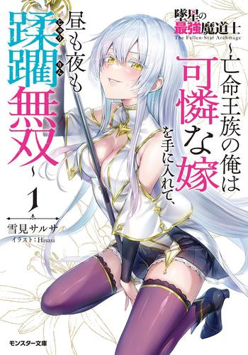 [ライトノベル]墜星の最強魔道士～亡命王族の俺は可憐な嫁を手に入れて、昼も夜も蹂躙無双～ (全1冊)