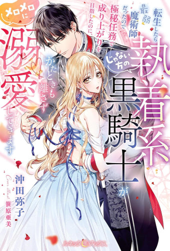 [ライトノベル]転生したら最弱魔術師だったので極秘任務で成り上がりを目指したのに、じゃない方の執着系黒騎士がかたときも離さずメロメロに溺愛してきます (全1冊)