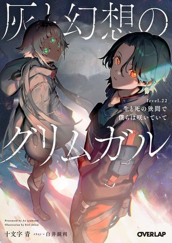 [ライトノベル]灰と幻想のグリムガル (全24冊)