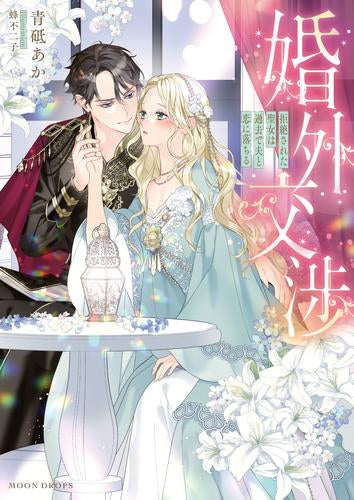 [ライトノベル]婚外交渉 拒絶された聖女は過去で夫と恋に落ちる (全1冊)