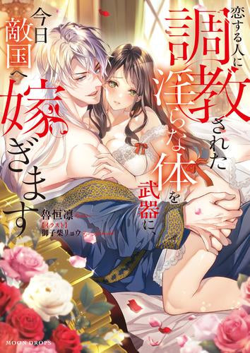 [ライトノベル]恋する人に調教された淫らな体を武器に、今日敵国へ嫁ぎます (全1冊)