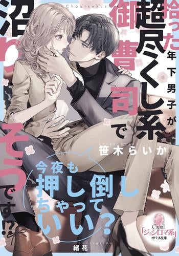 [ライトノベル]拾った年下男子が超尽くし系御曹司で沼りそうです!? (全1冊)